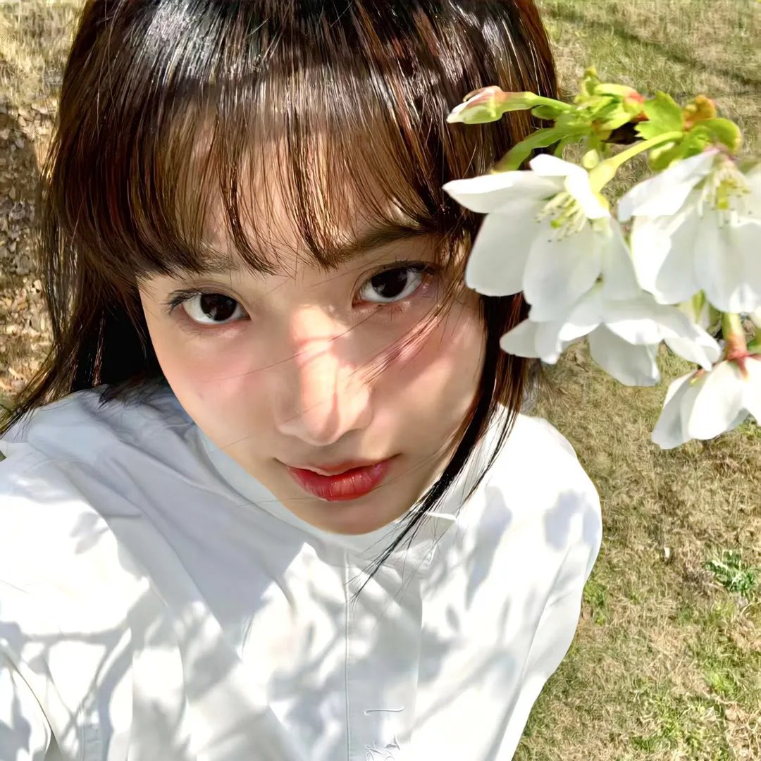 宝莲灯粤语